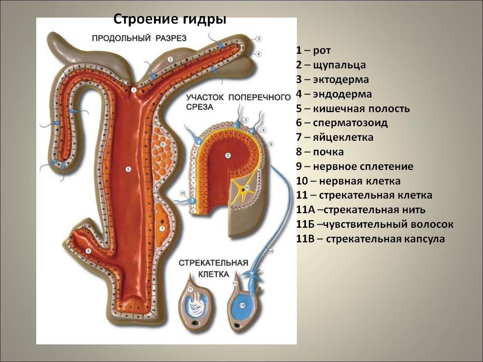 Новая ссылка на кракен